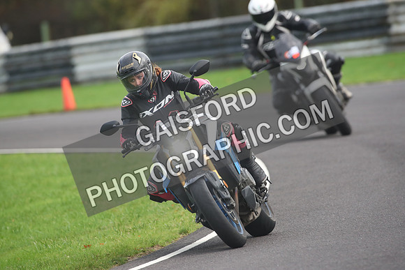 BIKES 2011