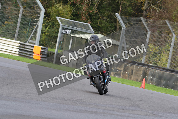 BIKES 0264