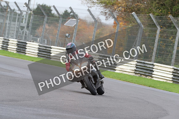 BIKES 0299