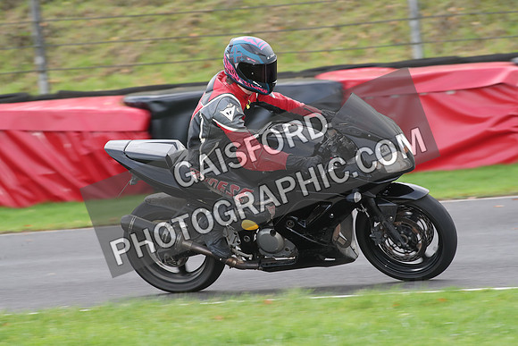 BIKES 0677