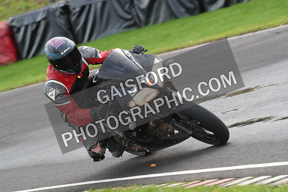 BIKES 0731