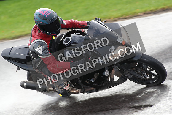 BIKES 0743