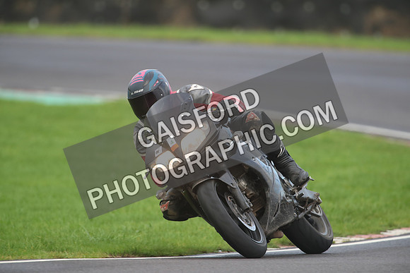 BIKES 1305