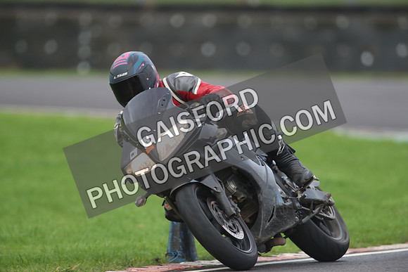 BIKES 1356