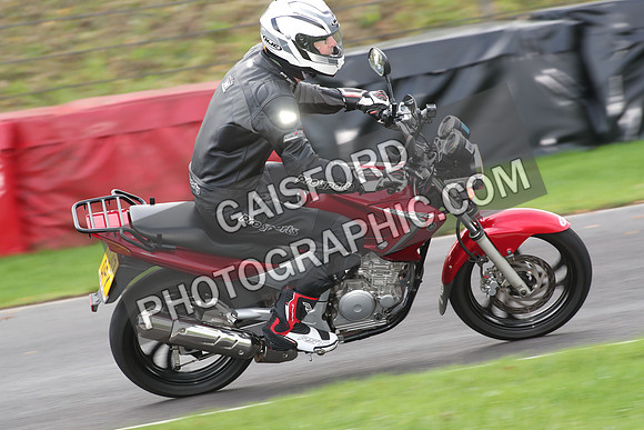 BIKES 0666