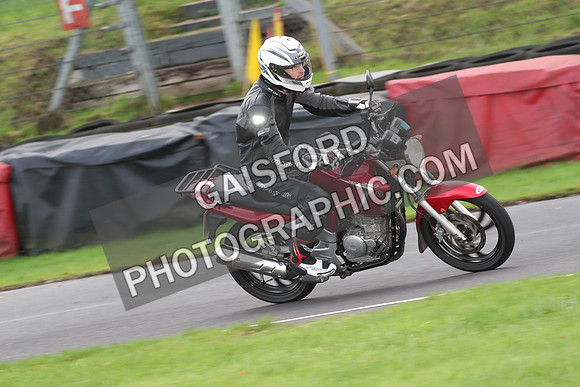 BIKES 0698