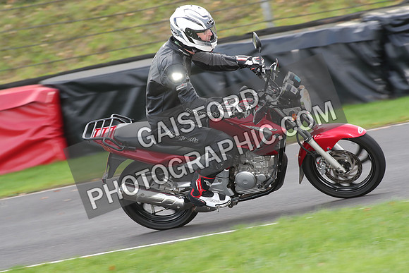BIKES 0699