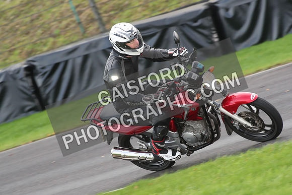BIKES 0716