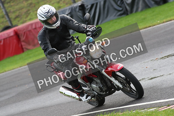 BIKES 0735