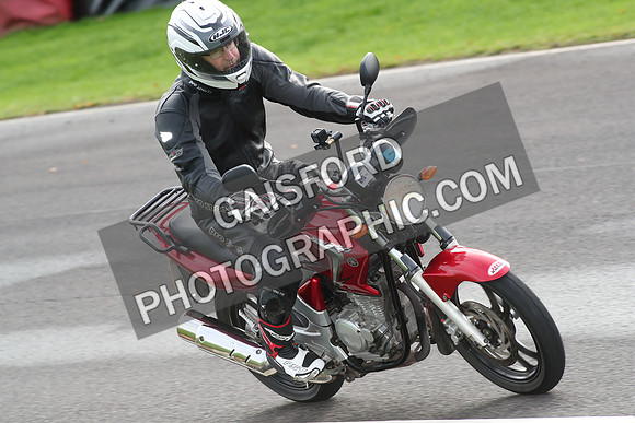 BIKES 0749