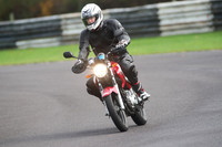 BIKES 2035