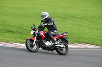 BIKES 2729
