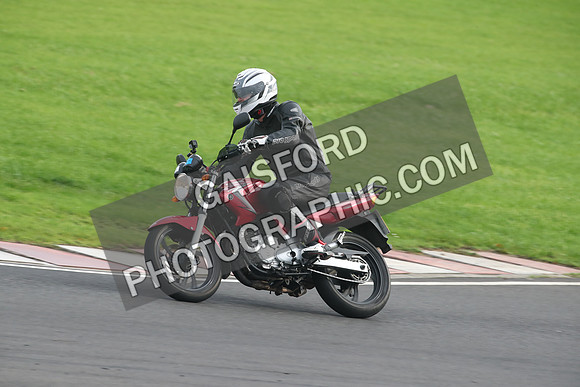 BIKES 2729