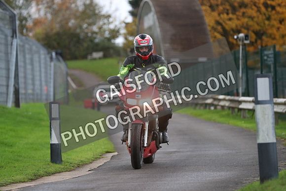 BIKES 0115