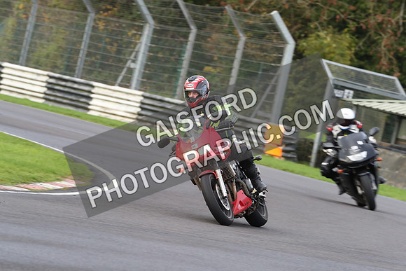 BIKES 0250