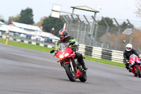 BIKES 0295