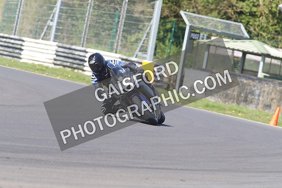 BIKES 1481