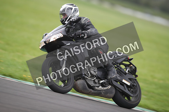 BIKES 1201