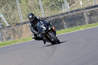 BIKES 0736