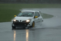 ( Renault White )