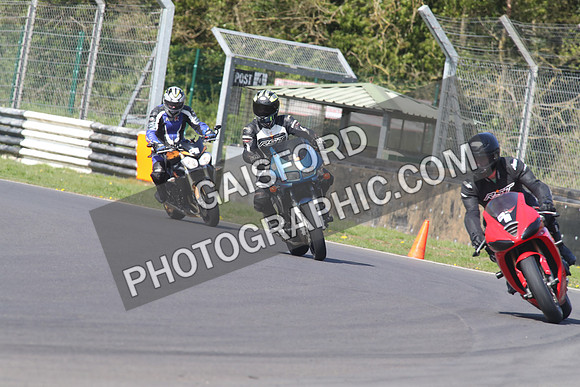 BIKES 1360