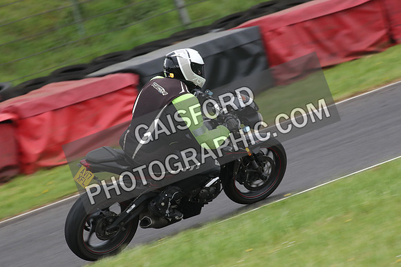 BIKES 1585