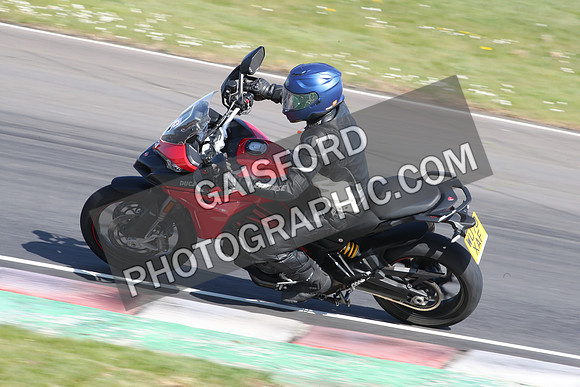 BIKES 2115