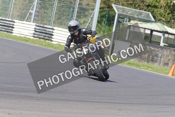 BIKES 1373