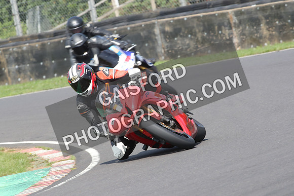 BIKES 0677