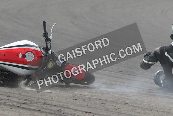 BIKES 1619