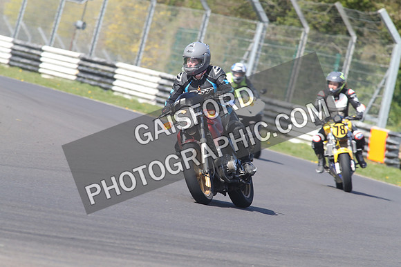 BIKES 1365