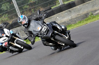 TVAM 0765
