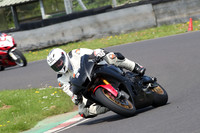 Fowlers 0495