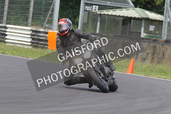 BIKES 1717