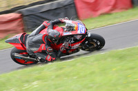 Fowlers 0555