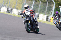 BIKES 1204