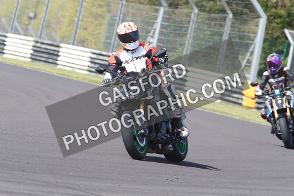 BIKES 1204