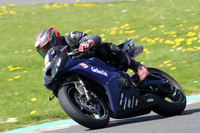 BIKES 0935