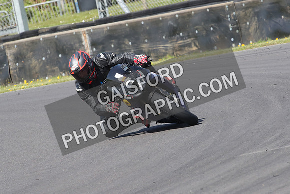 BIKES 0985