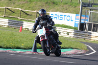 BIKES 0277