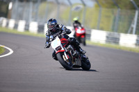 BIKES 1124