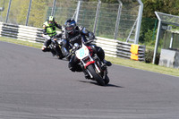 BIKES 1304
