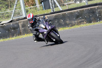 BIKES 0958