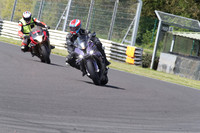 BIKES 1319