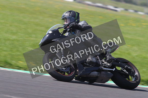 BIKES 1335