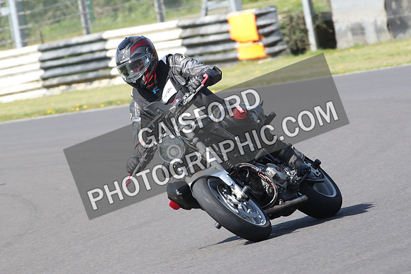 BIKES 0956