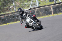 BIKES 0981