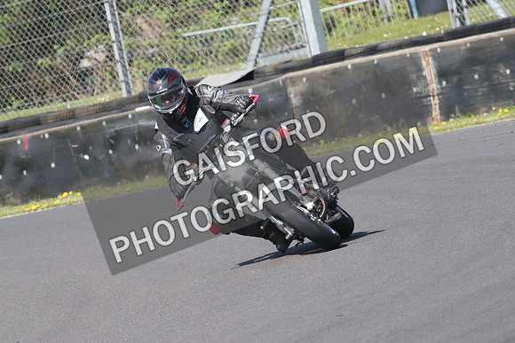 BIKES 0981