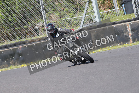 BIKES 0980