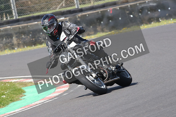 BIKES 0982